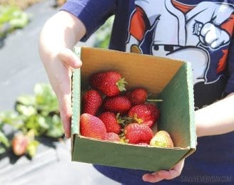 What To Bring Berry Picking