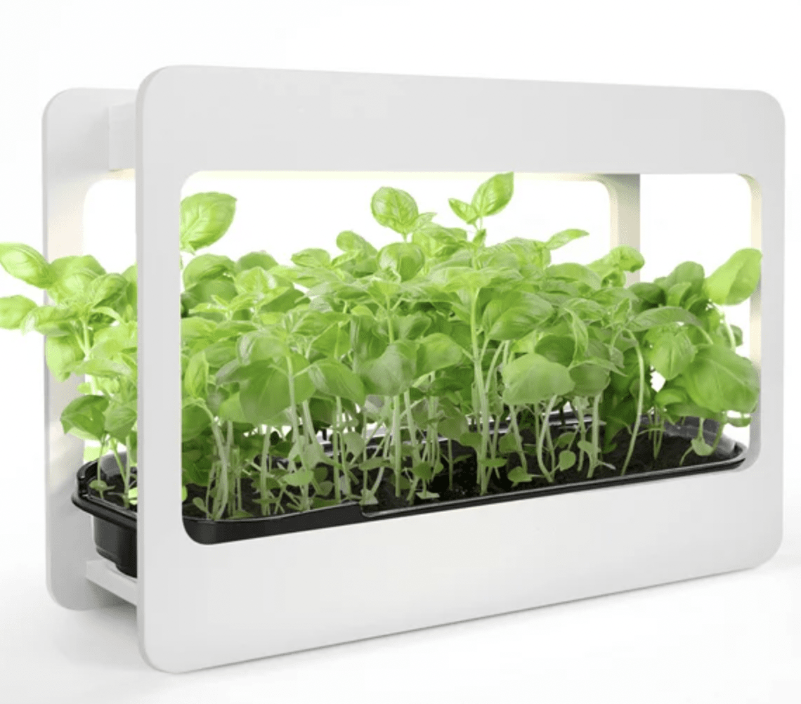plant light growth gift idea