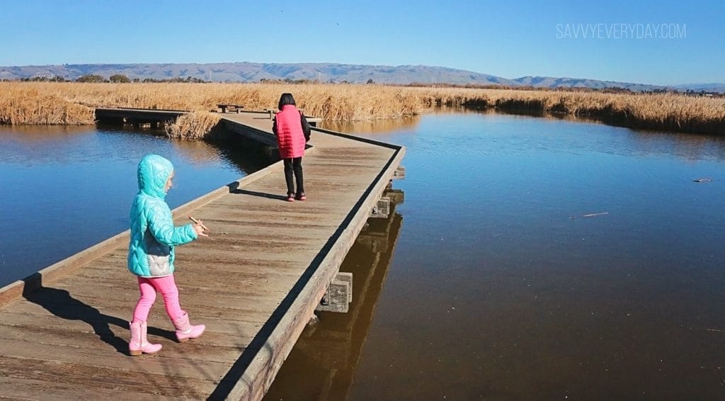 kids walking the bridge