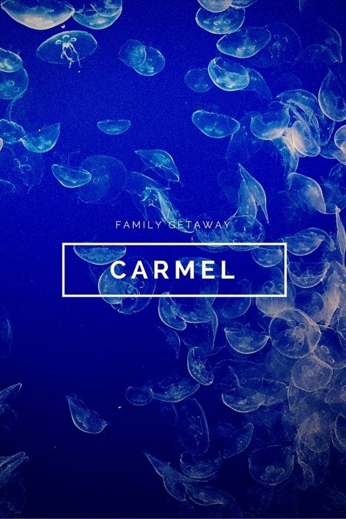 Carmel-by-the-sea pin image