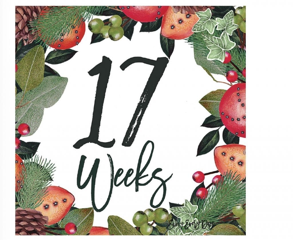 17 weeks November week-by-week example