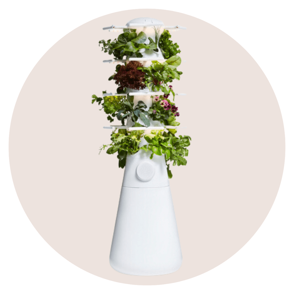 Lettuce Grow Nook