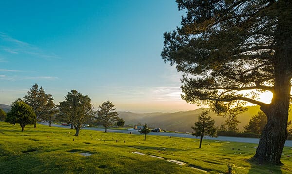 Skylawn Memorial park view