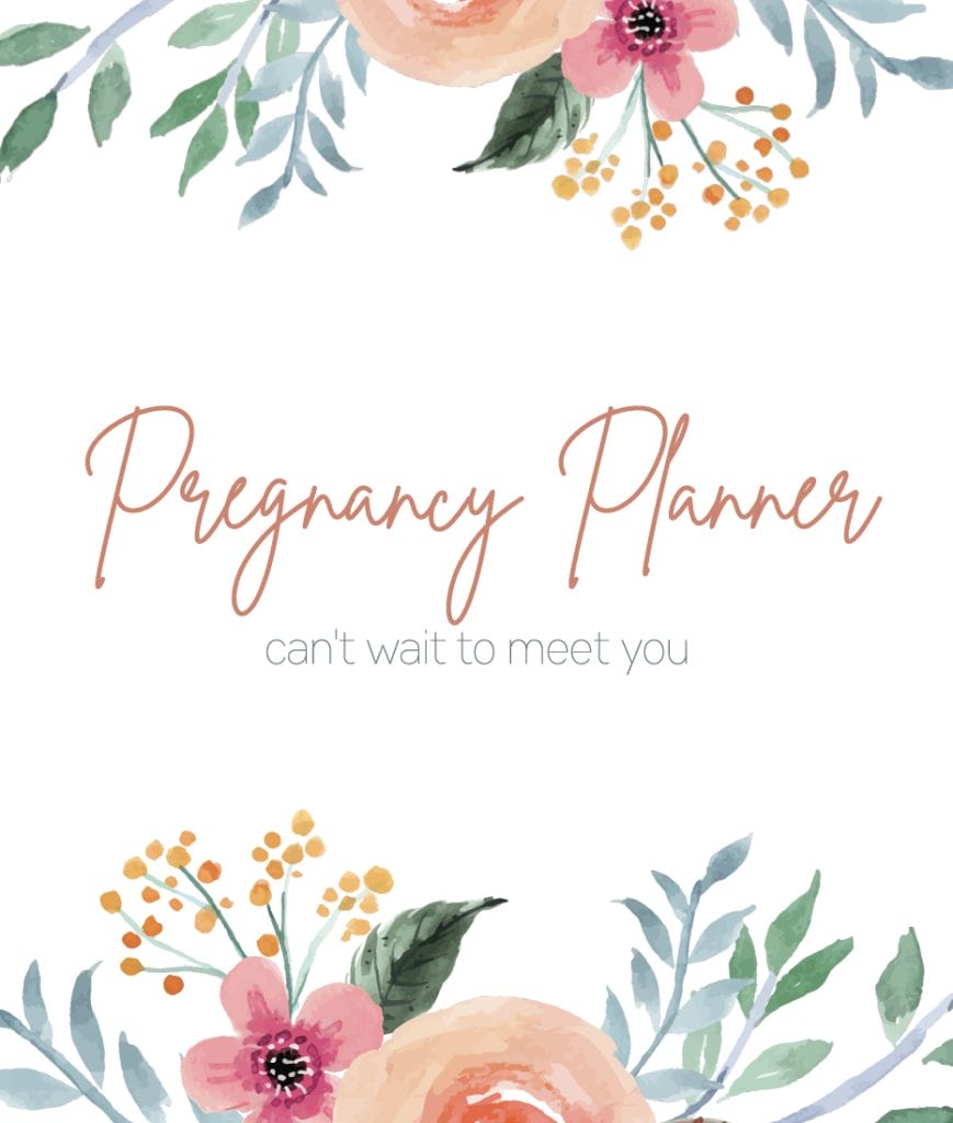 Pregnancy Planning Guide image