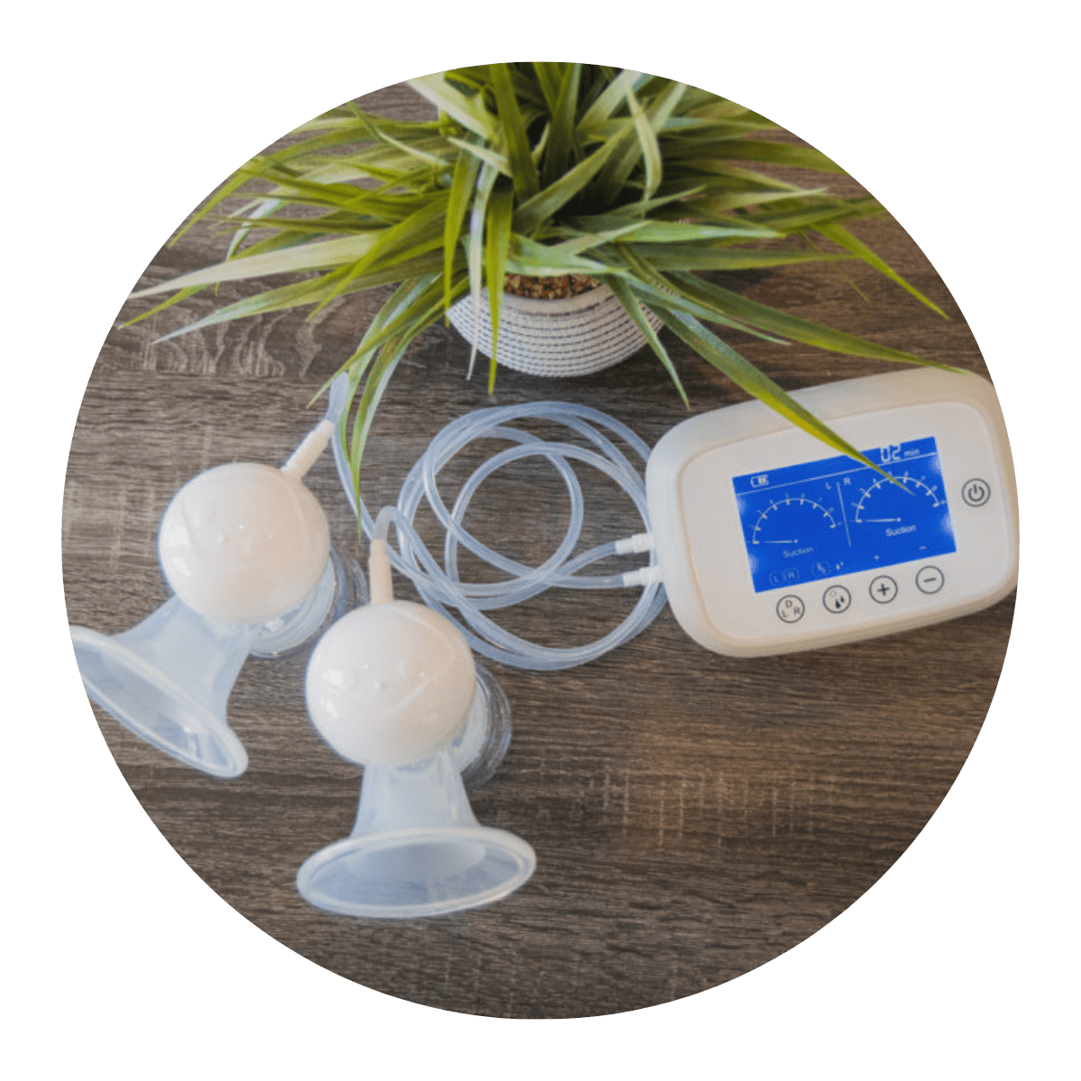 crane deluxe breast pump