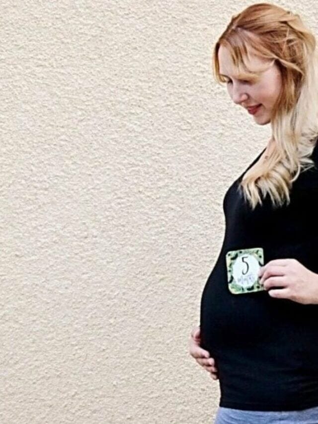 cropped-month-by-month-numbers.jpg