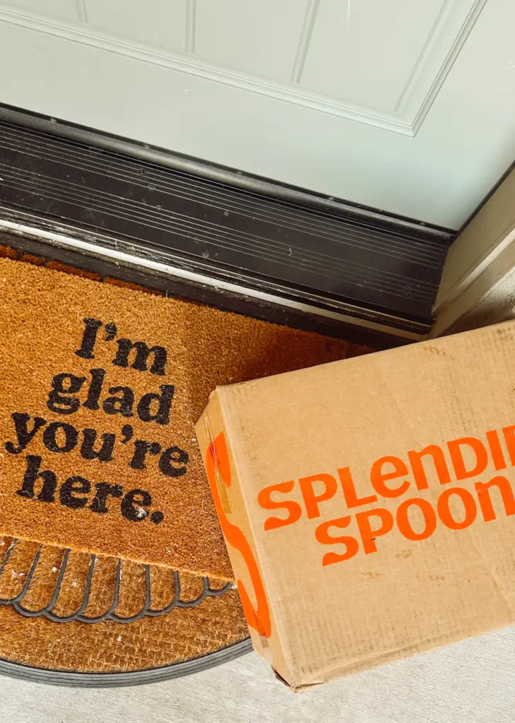 Splendid Spoon meal delivery box at the door